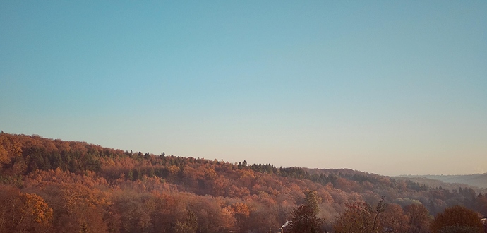 IMG_20181117_083559-01