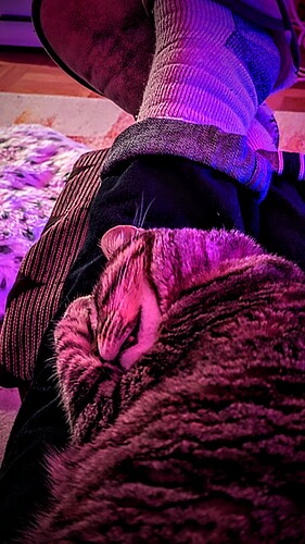 PXL_20230108_200850641~2