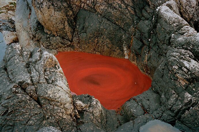 PIT1