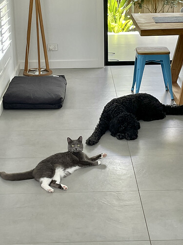 A3F25FB9-B5A9-48B4-A985-2F38AAD7BFC2_1_201_a