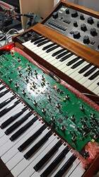 FB_IMG_1647665765282