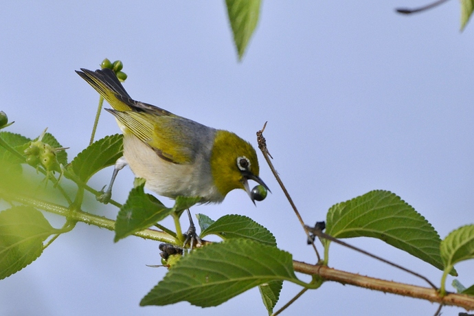 _DSC0841-01