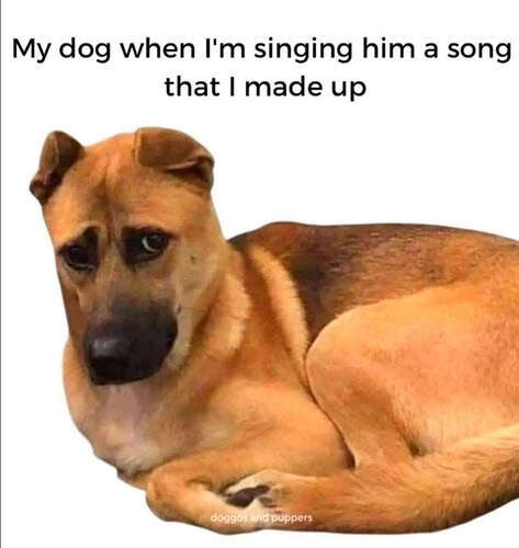 my-dog-singing-him-song-made-up-doggos-and-puppers