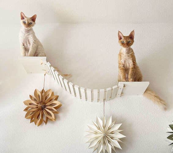 2022-11-10 18_29_48-WhatsApp