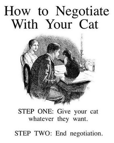 negotiation