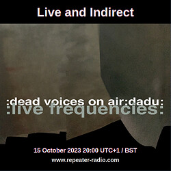 DVOA DADU October 2023 flyer square