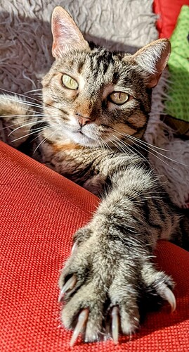 IMG-20221031-WA0013-01