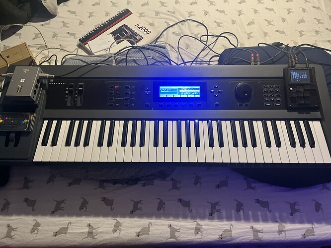 Kurzweil K2061/88 - Other Gear - Elektronauts