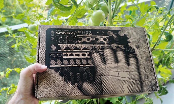 P_20240730_170835_1_1