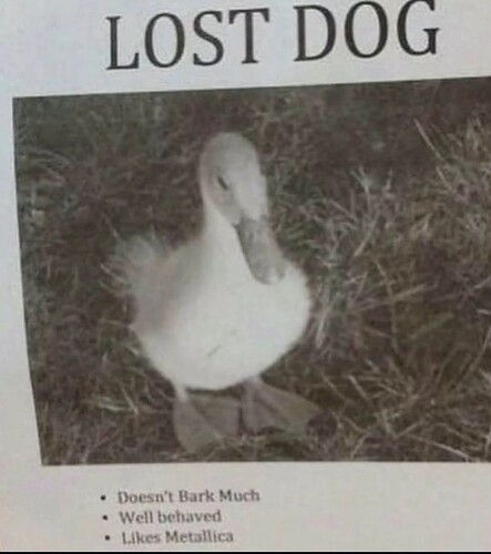 Screenshot_20250827_114816_com.instagram.android_edit_136118299182875