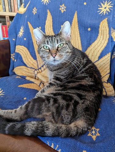 PXL_20221107_165145639