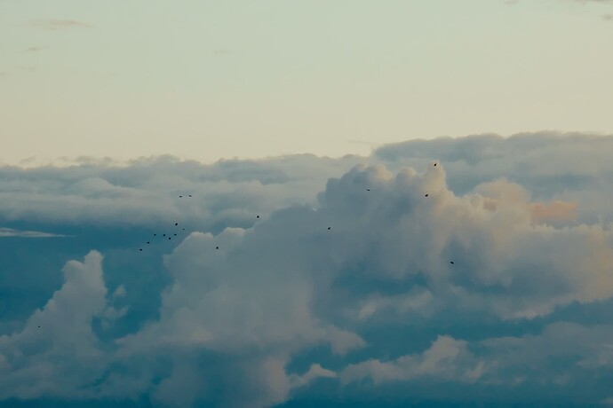 Clouds & Birds (Clean)