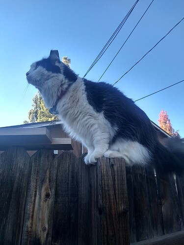 IMG_20211010_153700912_HDR