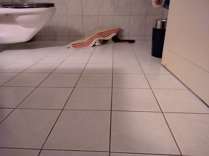 IMG_20221216_125823_HDR