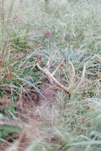 Screenshot 2024-11-08 at 9.12.12 PM