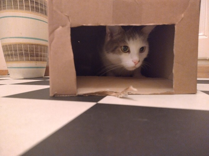 IMG_20221026_203154_HDR