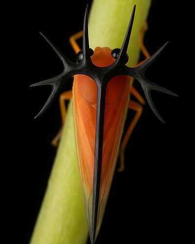 499450003_596748423450552_4199077418754982692_n