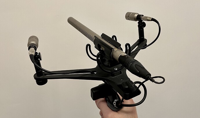 Stereophonic Zoom Mic