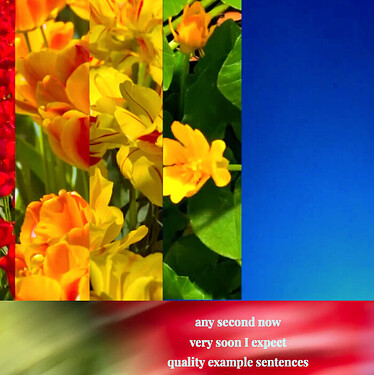 Screenshot 2022-06-13 at 13.57.04