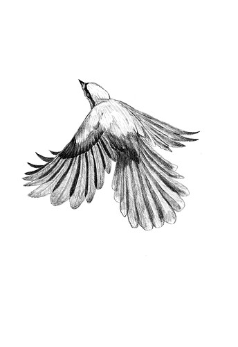 Untitled - 22 July 2025 20.54.38