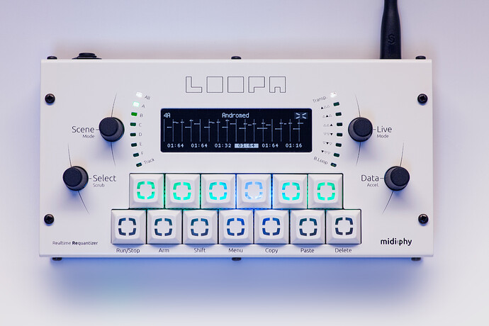 【新品未使用】MODULAR LOOP SYSTEM type-1 Midiphy LoopA - Other Gear - Elektronauts