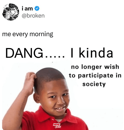 am-broken-every-morning-dang-kinda-no-longer-wish-participate-society-aborteddreams-meme-zar