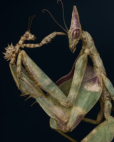 500289163_597901930001868_2144122863412377160_n