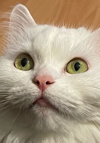 WhatsApp Image 2023-03-28 at 00.05.47