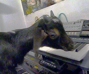 Tommy at the controls 2