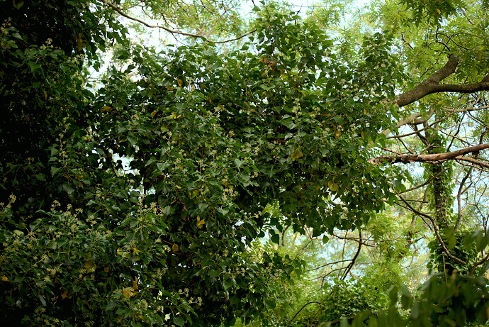 DSC_1586_01