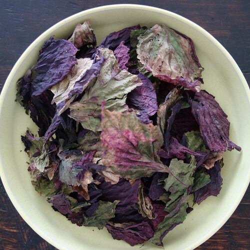 Shiso2