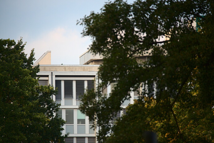 DSC_1681