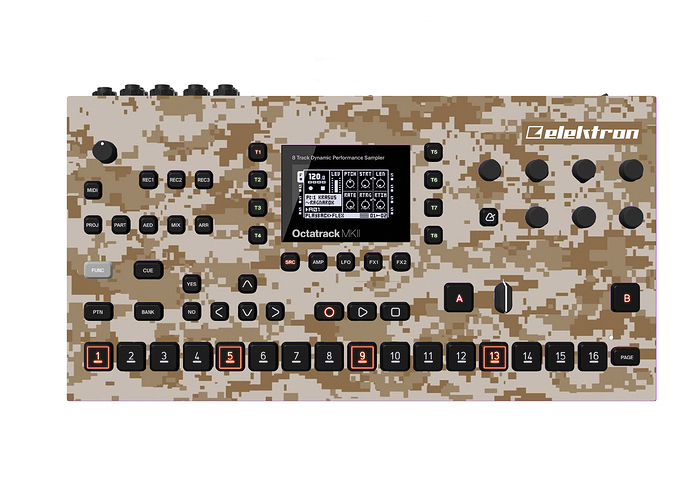 DIGICAMO1