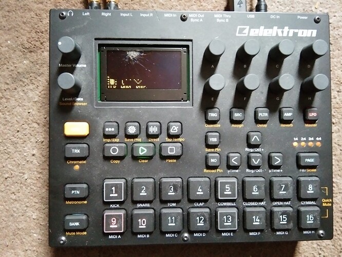 245424236_1464449387289229_6934139806477282031_n