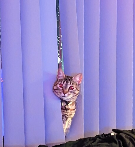 PXL_20230108_171143436~2