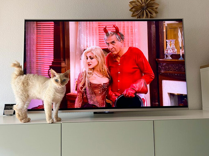 2022-11-10 18_30_20-WhatsApp