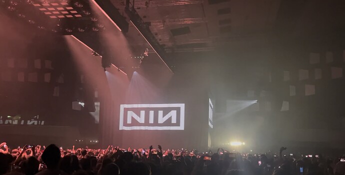 nin_