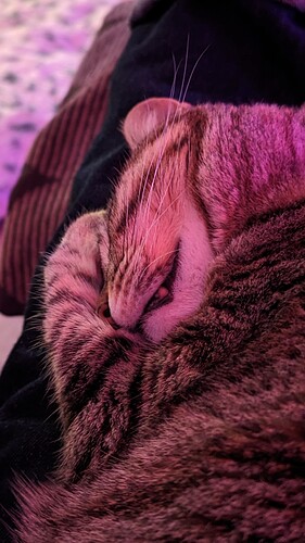 PXL_20230108_200933379