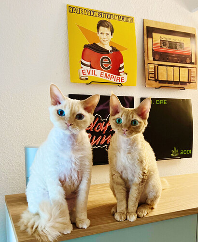 2022-11-10 18_32_42-WhatsApp