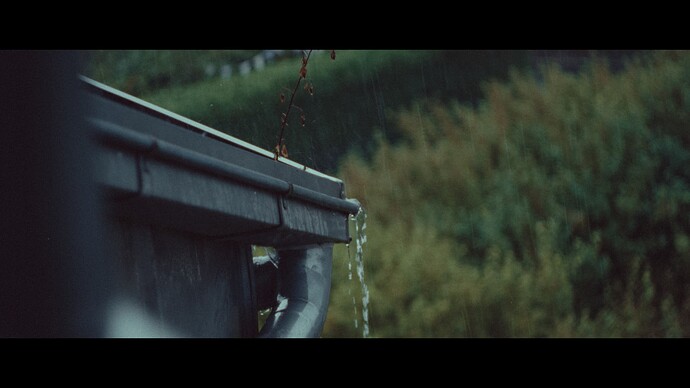 rain