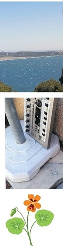 Screenshot_20240420_145329_photocollage.photoeditor.collagemaker_edit_633208939133587