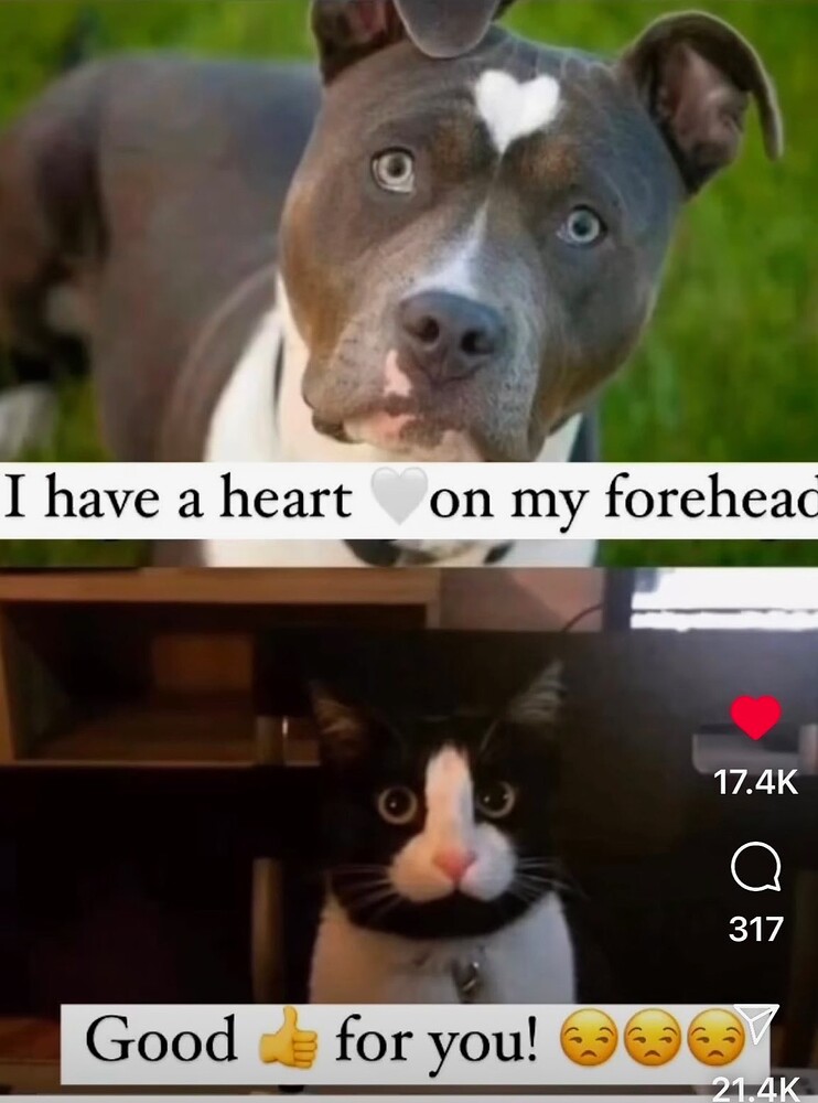 cfe8dce3d50531bcc05a1ecd8e4e817cd768e37b