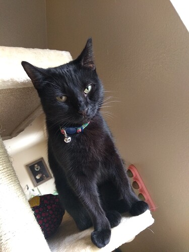 IMG_20211012_110537039