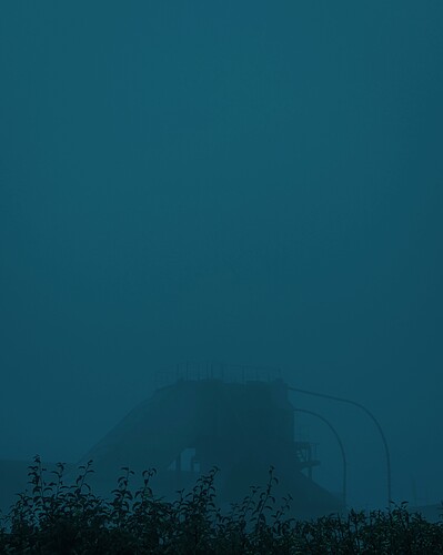 PXL_20211001_055711401 (1)~2