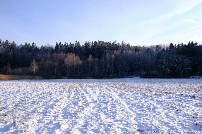 2022-02-19_031