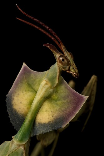 499513396_596590800132981_4764248593031686821_n