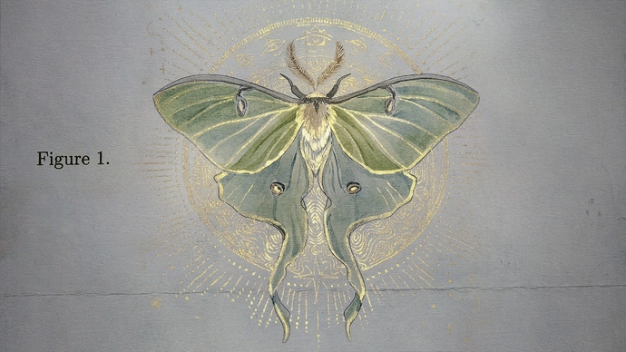 moth2c