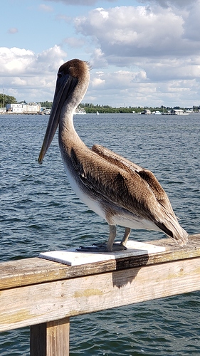 20191109_141102
