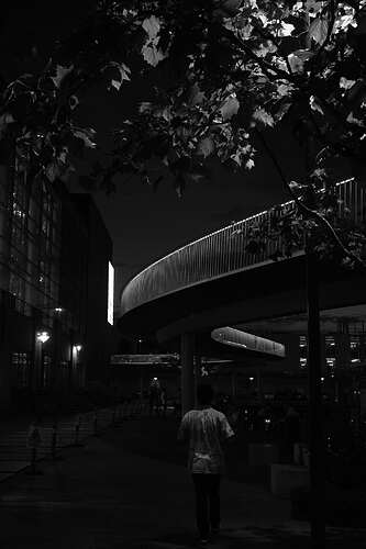 2022-07-02_318