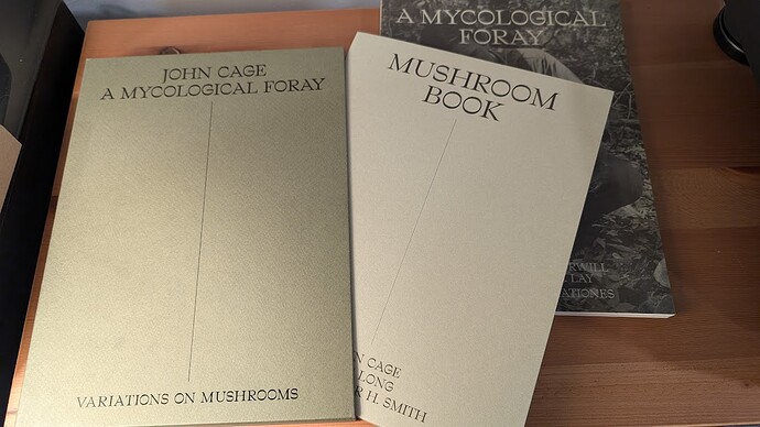 PXL_20240813_230349130.MP